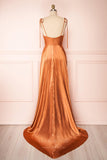 Prom Dress 2025 Blush Spaghetti Strap Prom Dress 20575-unique elegant Prom Dresses-Blush-US2-vigocouture