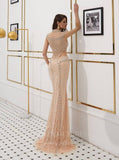 Prom Dress 2025 Champagne Mermaid Beaded Prom Dress 20276-unique elegant Prom Dresses-Champagne-US2-vigocouture