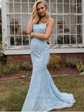 Prom Dress 2025 Lace Applique Mermaid Prom Dresses Spaghetti Strap Evening Dress 20594-unique elegant Prom Dresses-Light Blue-US2-vigocouture