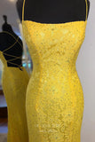Blue Lace Applique Prom Dresses Spaghetti Strap Mermaid Evening Dress 21929-Prom Dresses-vigocouture-Blue-US2-vigocouture