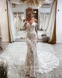 vigocouture-Long Sleeve Lace Applique Wedding Dresses Chapel Train Bridal Dresses W0060-Wedding Dresses-vigocouture-